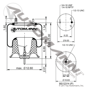 AIR SPRING ROLLING LOBE