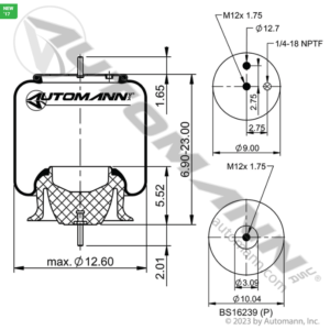 AIR SPRING ROLLING LOBE