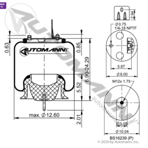 AIR SPRING ROLLING LOBE