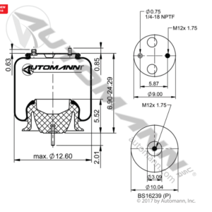 AIR SPRING ROLLING LOBE