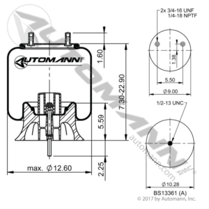 AIR SPRING ROLLING LOBE