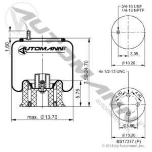 AIR SPRING ROLLING LOBE